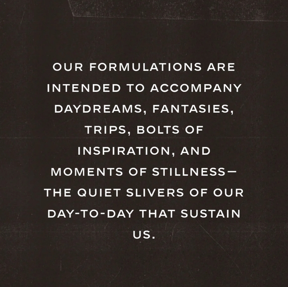 Twentynine Palms Cleansing Shampoo & Desert Tumbleweed Softening Conditioner Set - Picture 6 of 10